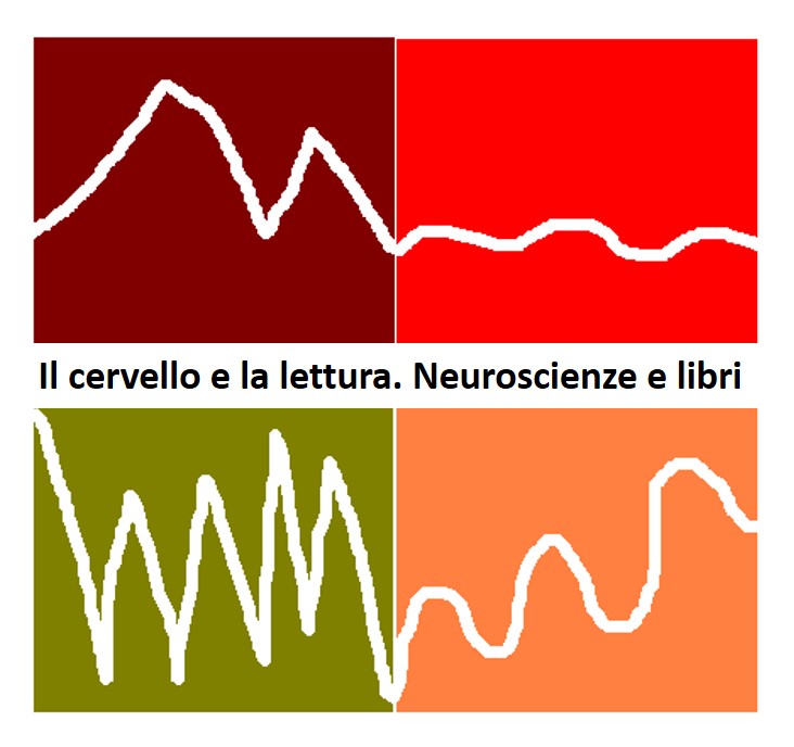 cervello e lettura immagine FB